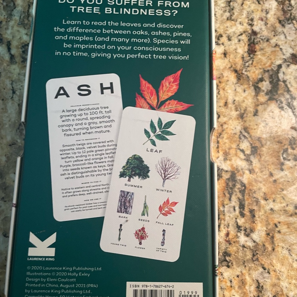 Tree Vision Know Your Trees In 30 Cards - Picture 4 of 4